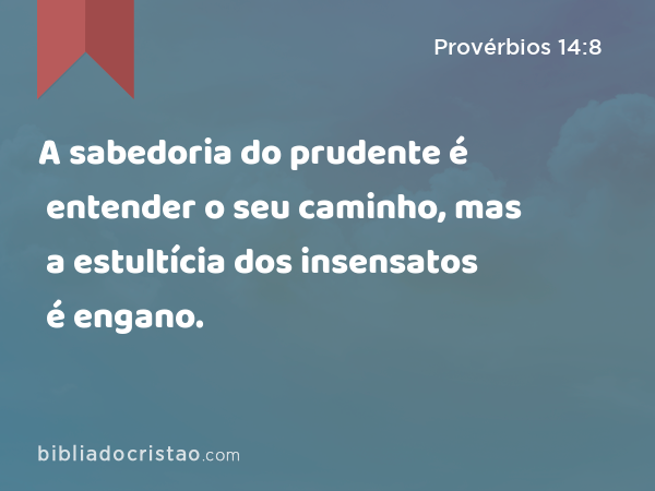 A sabedoria do prudente é entender o seu caminho, mas a estultícia dos insensatos é engano. - Provérbios 14:8