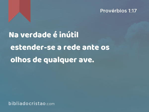 Na verdade é inútil estender-se a rede ante os olhos de qualquer ave. - Provérbios 1:17