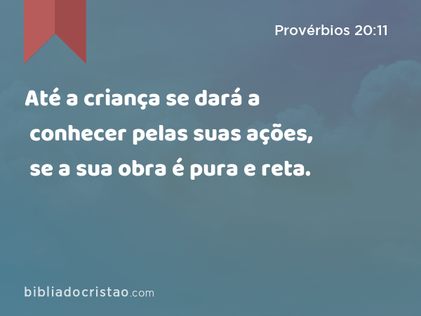 Até a criança se dará a conhecer pelas suas ações, se a sua obra é pura e reta. - Provérbios 20:11