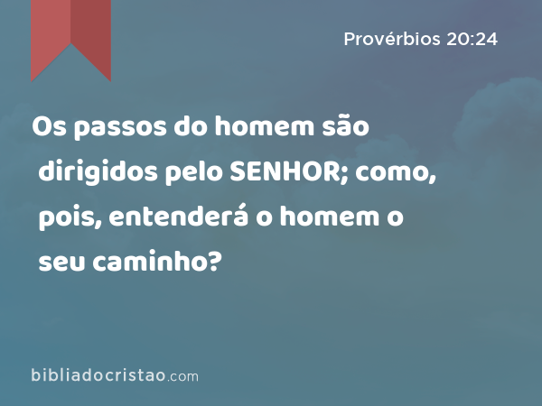 Os passos do homem são dirigidos pelo SENHOR; como, pois, entenderá o homem o seu caminho? - Provérbios 20:24