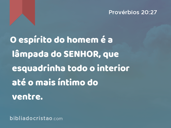 O espírito do homem é a lâmpada do SENHOR, que esquadrinha todo o interior até o mais íntimo do ventre. - Provérbios 20:27