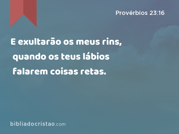 E exultarão os meus rins, quando os teus lábios falarem coisas retas. - Provérbios 23:16