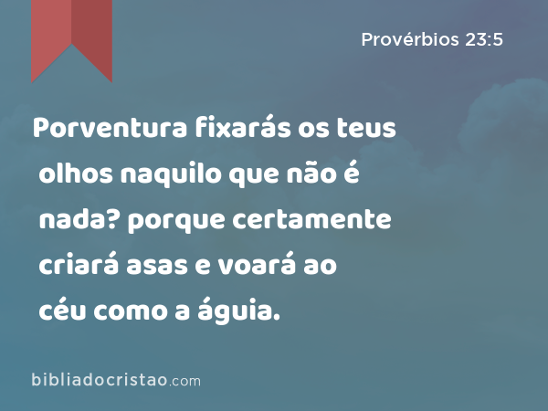 Porventura fixarás os teus olhos naquilo que não é nada? porque certamente criará asas e voará ao céu como a águia. - Provérbios 23:5