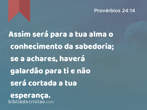 Assim será para a tua alma o conhecimento da sabedoria; se a achares, haverá galardão para ti e não será cortada a tua esperança. - Provérbios 24:14