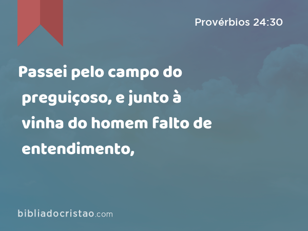 Passei pelo campo do preguiçoso, e junto à vinha do homem falto de entendimento, - Provérbios 24:30