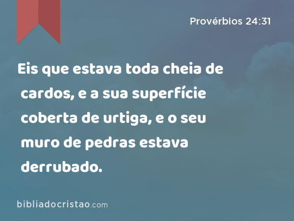 Eis que estava toda cheia de cardos, e a sua superfície coberta de urtiga, e o seu muro de pedras estava derrubado. - Provérbios 24:31