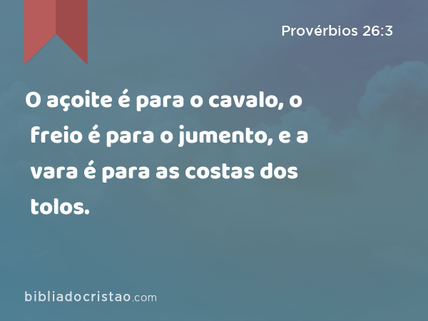 O açoite é para o cavalo, o freio é para o jumento, e a vara é para as costas dos tolos. - Provérbios 26:3