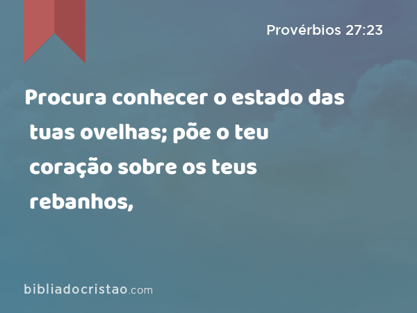 Procura conhecer o estado das tuas ovelhas; põe o teu coração sobre os teus rebanhos, - Provérbios 27:23