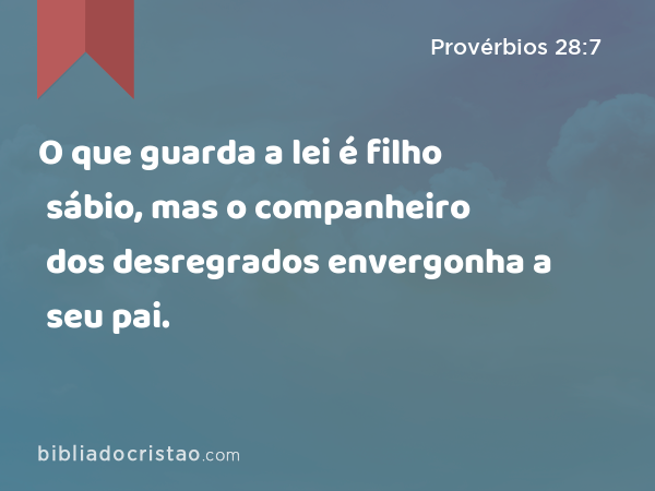 O que guarda a lei é filho sábio, mas o companheiro dos desregrados envergonha a seu pai. - Provérbios 28:7