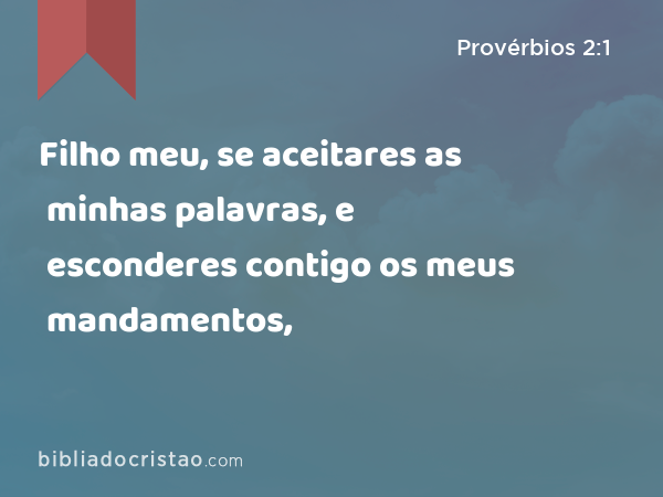 Filho meu, se aceitares as minhas palavras, e esconderes contigo os meus mandamentos, - Provérbios 2:1