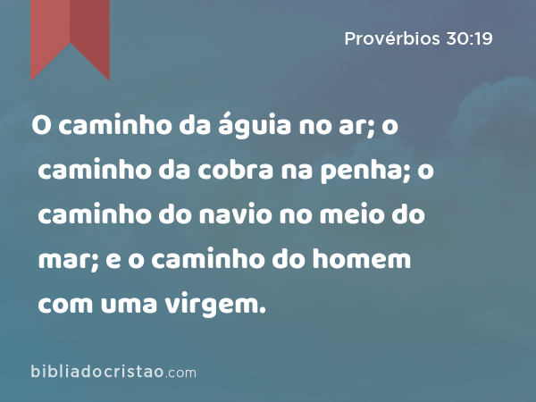 O caminho da águia no ar; o caminho da cobra na penha; o caminho do navio no meio do mar; e o caminho do homem com uma virgem. - Provérbios 30:19