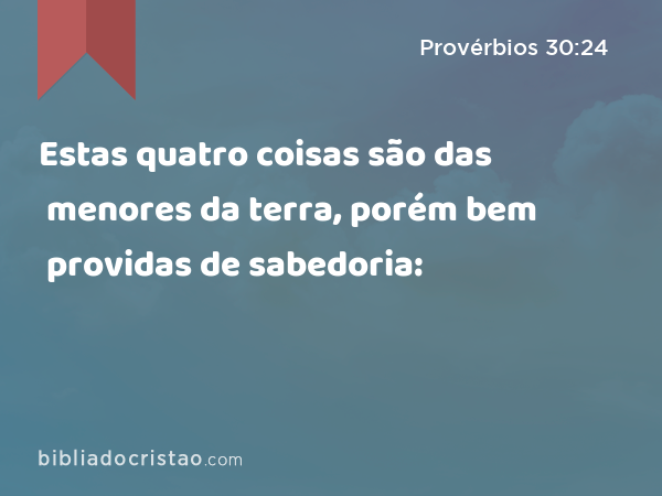 Estas quatro coisas são das menores da terra, porém bem providas de sabedoria: - Provérbios 30:24