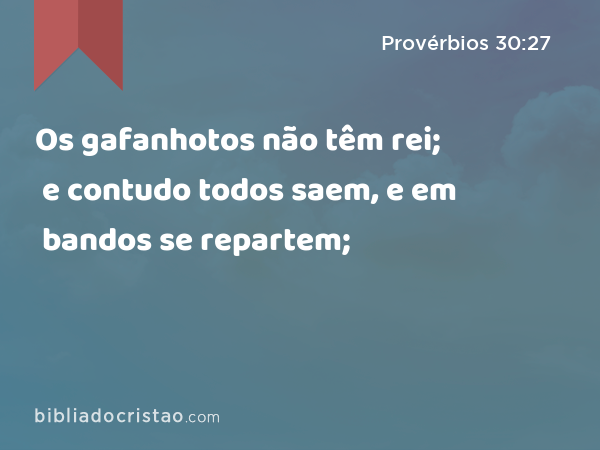 Os gafanhotos não têm rei; e contudo todos saem, e em bandos se repartem; - Provérbios 30:27