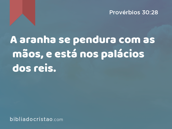 A aranha se pendura com as mãos, e está nos palácios dos reis. - Provérbios 30:28