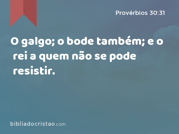 O galgo; o bode também; e o rei a quem não se pode resistir. - Provérbios 30:31