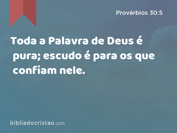 Toda a Palavra de Deus é pura; escudo é para os que confiam nele. - Provérbios 30:5