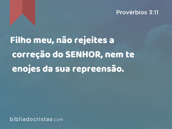 Filho meu, não rejeites a correção do SENHOR, nem te enojes da sua repreensão. - Provérbios 3:11