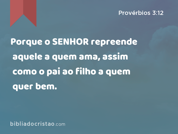 Porque o SENHOR repreende aquele a quem ama, assim como o pai ao filho a quem quer bem. - Provérbios 3:12