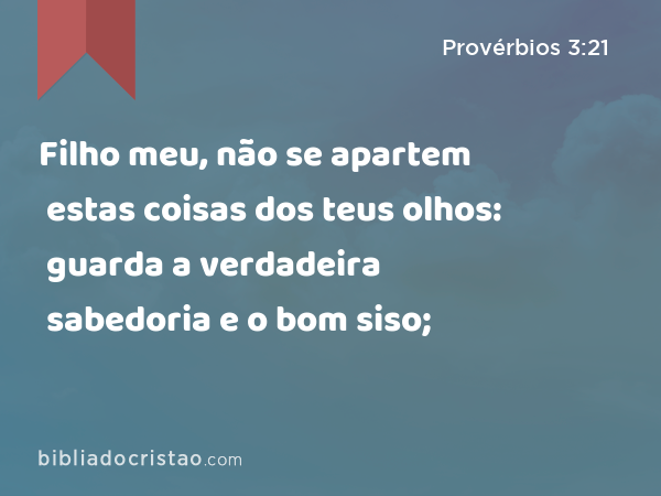 Filho meu, não se apartem estas coisas dos teus olhos: guarda a verdadeira sabedoria e o bom siso; - Provérbios 3:21