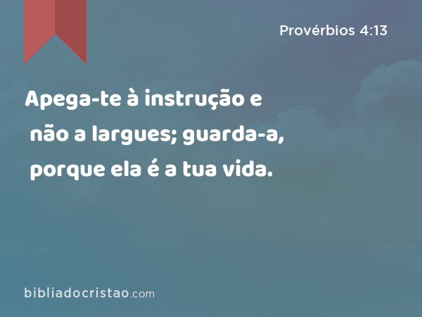 Apega-te à instrução e não a largues; guarda-a, porque ela é a tua vida. - Provérbios 4:13