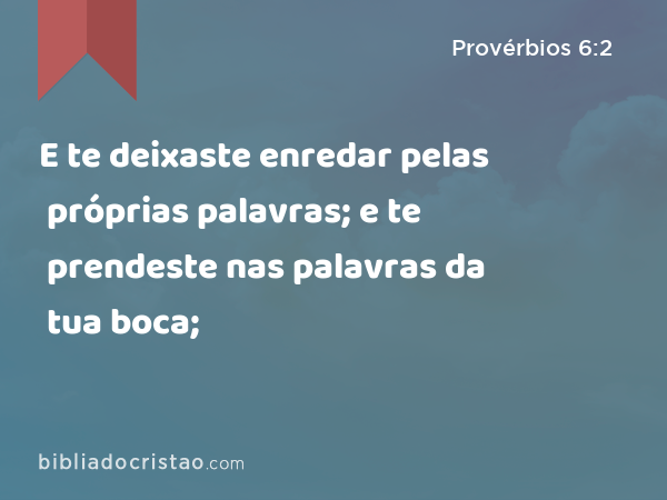 E te deixaste enredar pelas próprias palavras; e te prendeste nas palavras da tua boca; - Provérbios 6:2