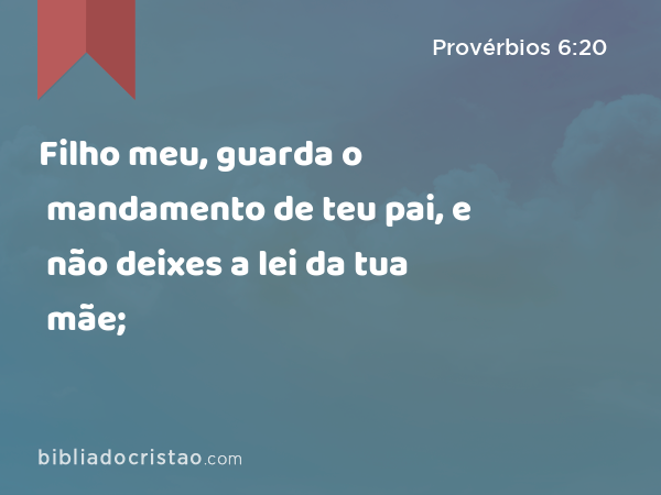 Filho meu, guarda o mandamento de teu pai, e não deixes a lei da tua mãe; - Provérbios 6:20