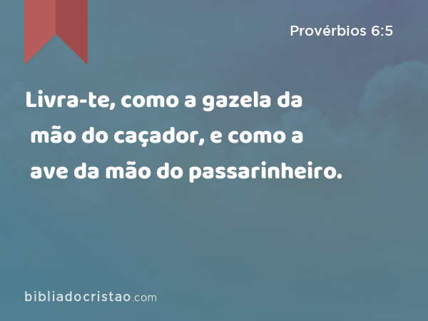 Livra-te, como a gazela da mão do caçador, e como a ave da mão do passarinheiro. - Provérbios 6:5