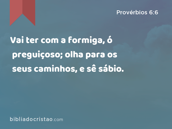 Vai ter com a formiga, ó preguiçoso; olha para os seus caminhos, e sê sábio. - Provérbios 6:6