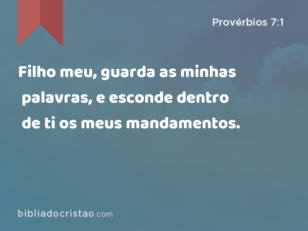 Filho meu, guarda as minhas palavras, e esconde dentro de ti os meus mandamentos. - Provérbios 7:1