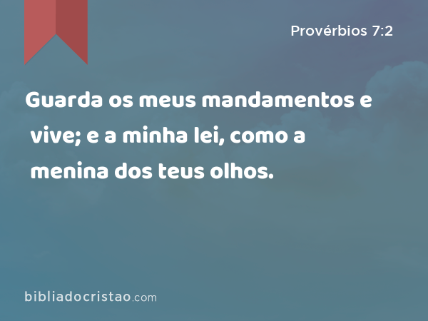 Guarda os meus mandamentos e vive; e a minha lei, como a menina dos teus olhos. - Provérbios 7:2