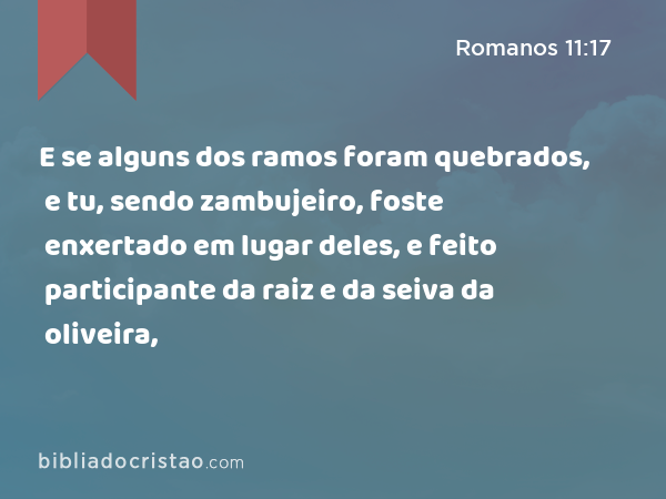 E se alguns dos ramos foram quebrados, e tu, sendo zambujeiro, foste enxertado em lugar deles, e feito participante da raiz e da seiva da oliveira, - Romanos 11:17