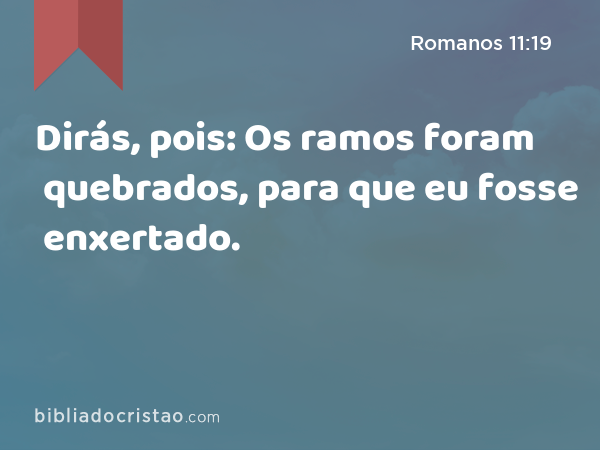 Dirás, pois: Os ramos foram quebrados, para que eu fosse enxertado. - Romanos 11:19