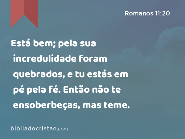 Está bem; pela sua incredulidade foram quebrados, e tu estás em pé pela fé. Então não te ensoberbeças, mas teme. - Romanos 11:20