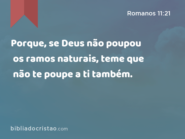 Porque, se Deus não poupou os ramos naturais, teme que não te poupe a ti também. - Romanos 11:21