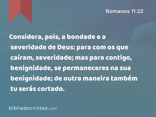 Considera, pois, a bondade e a severidade de Deus: para com os que caíram, severidade; mas para contigo, benignidade, se permaneceres na sua benignidade; de outra maneira também tu serás cortado. - Romanos 11:22