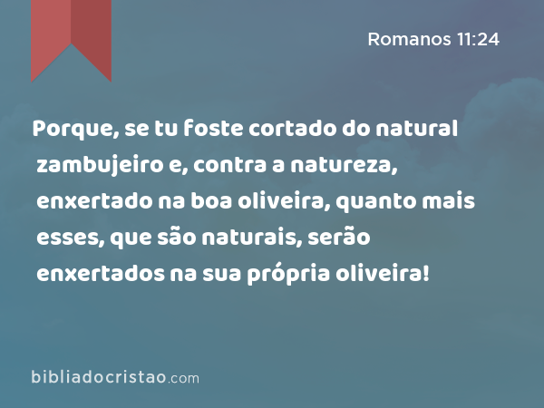 Porque, se tu foste cortado do natural zambujeiro e, contra a natureza, enxertado na boa oliveira, quanto mais esses, que são naturais, serão enxertados na sua própria oliveira! - Romanos 11:24