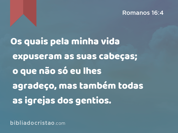 Os quais pela minha vida expuseram as suas cabeças; o que não só eu lhes agradeço, mas também todas as igrejas dos gentios. - Romanos 16:4