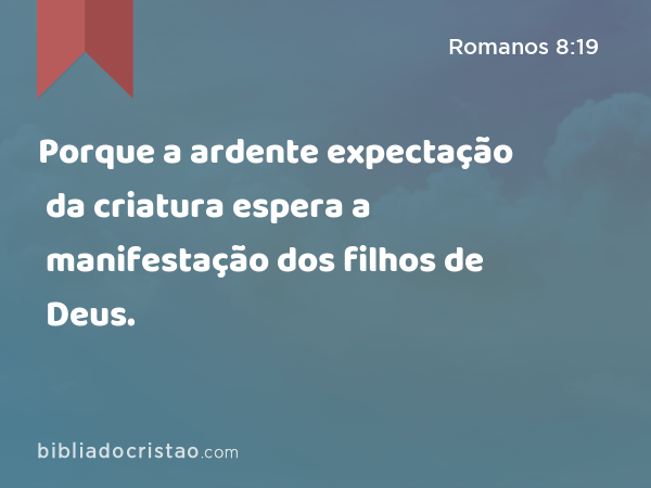 Porque a ardente expectação da criatura espera a manifestação dos filhos de Deus. - Romanos 8:19