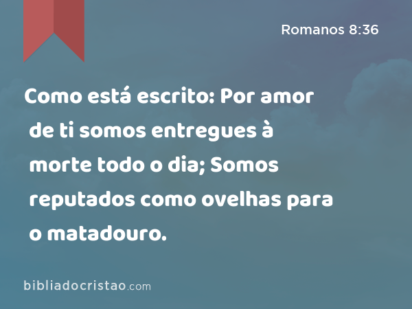 Como está escrito: Por amor de ti somos entregues à morte todo o dia; Somos reputados como ovelhas para o matadouro. - Romanos 8:36