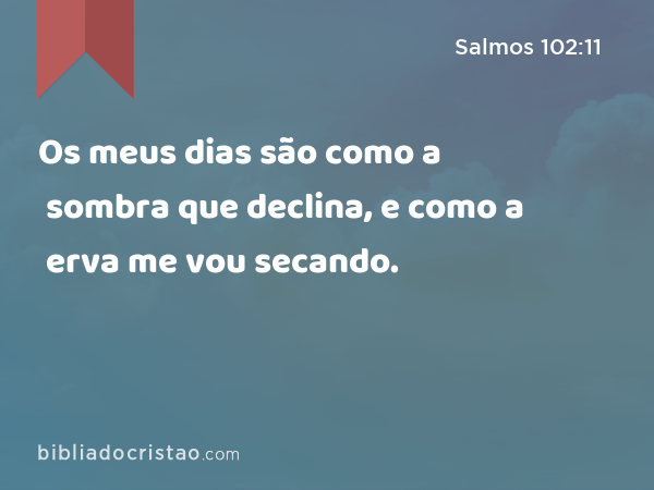 Os meus dias são como a sombra que declina, e como a erva me vou secando. - Salmos 102:11