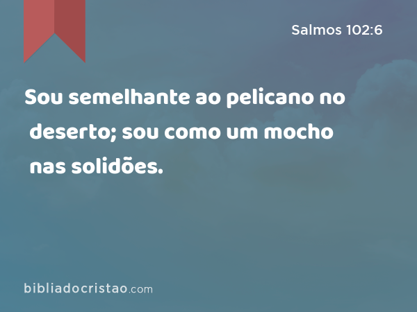 Sou semelhante ao pelicano no deserto; sou como um mocho nas solidões. - Salmos 102:6