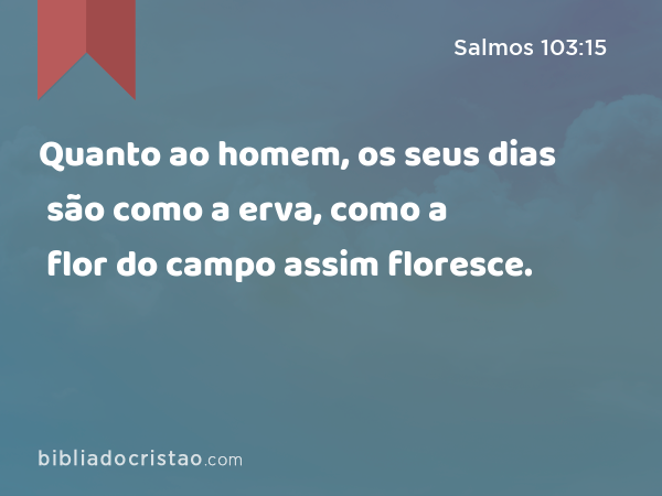 Quanto ao homem, os seus dias são como a erva, como a flor do campo assim floresce. - Salmos 103:15