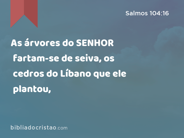 As árvores do SENHOR fartam-se de seiva, os cedros do Líbano que ele plantou, - Salmos 104:16