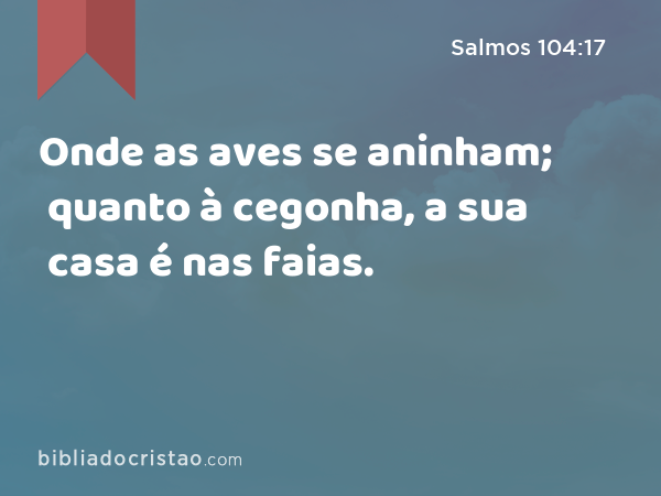 Onde as aves se aninham; quanto à cegonha, a sua casa é nas faias. - Salmos 104:17