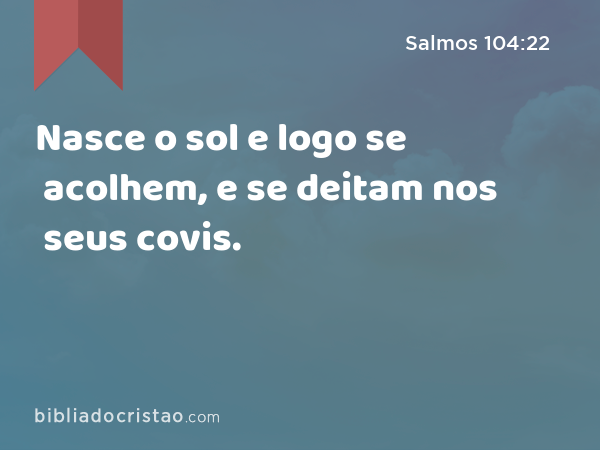 Nasce o sol e logo se acolhem, e se deitam nos seus covis. - Salmos 104:22