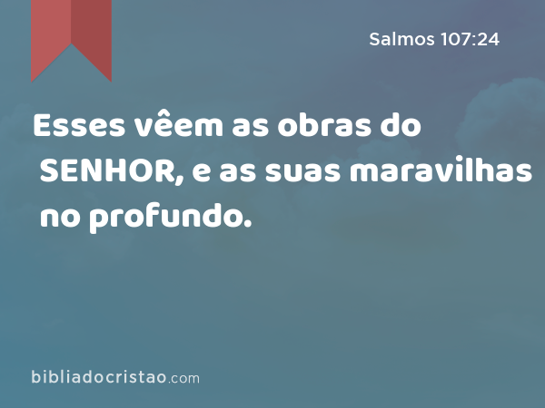 Esses vêem as obras do SENHOR, e as suas maravilhas no profundo. - Salmos 107:24