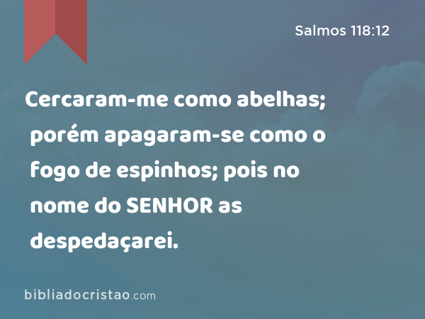 Cercaram-me como abelhas; porém apagaram-se como o fogo de espinhos; pois no nome do SENHOR as despedaçarei. - Salmos 118:12