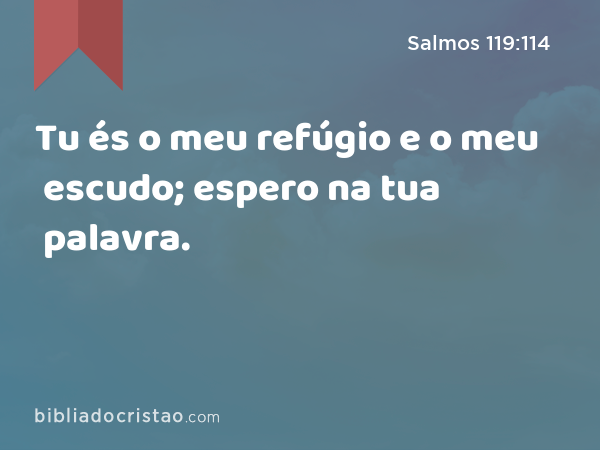 Tu és o meu refúgio e o meu escudo; espero na tua palavra. - Salmos 119:114