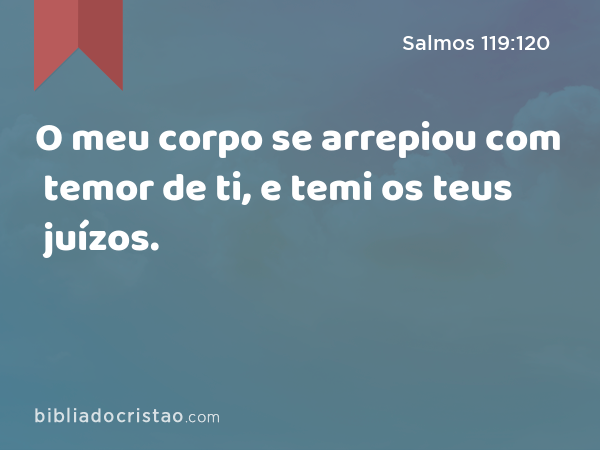 O meu corpo se arrepiou com temor de ti, e temi os teus juízos. - Salmos 119:120