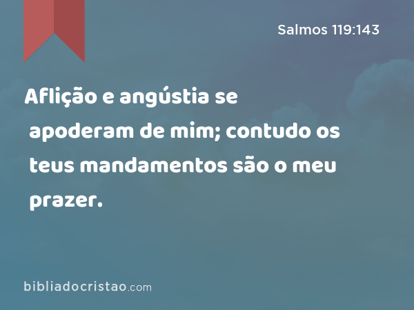 Aflição e angústia se apoderam de mim; contudo os teus mandamentos são o meu prazer. - Salmos 119:143